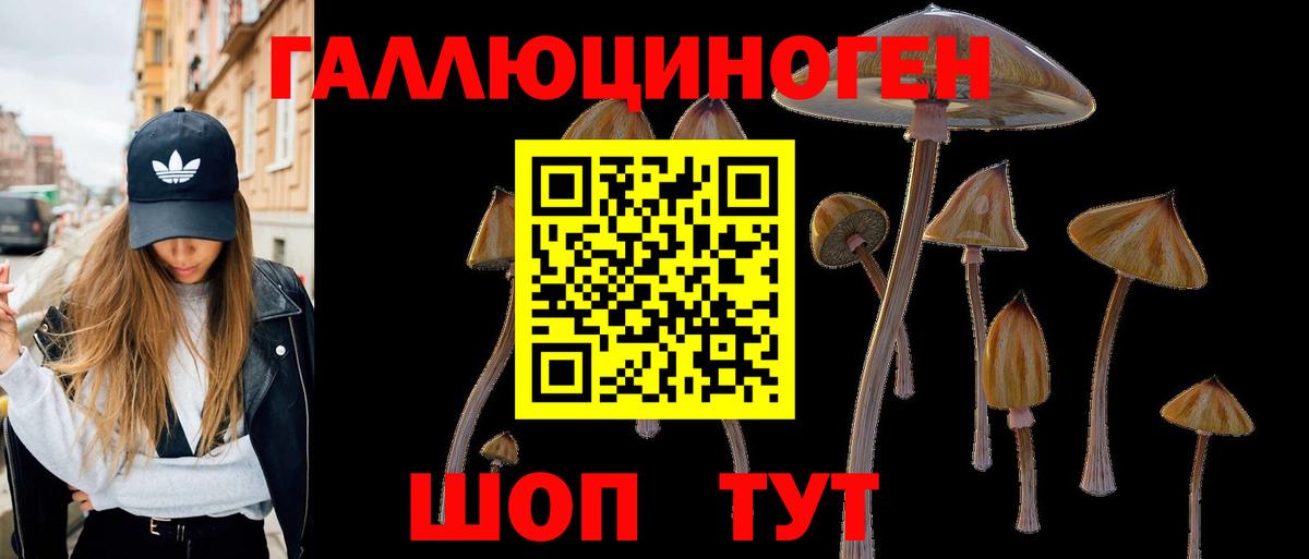 Бутурлиновка  Псилоцибиновые грибы MAGIC MUSHROOMS  Вход с VPN 